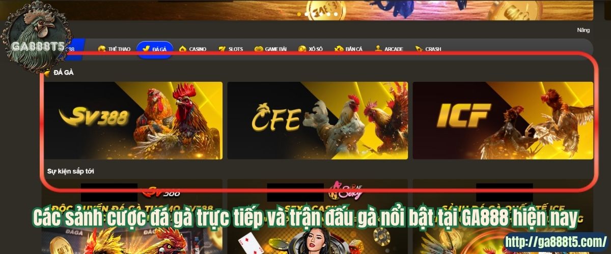 Các sảnh cược đá gà trực tiếp và trận đấu gà nổi bật tại GA888 hiện nay