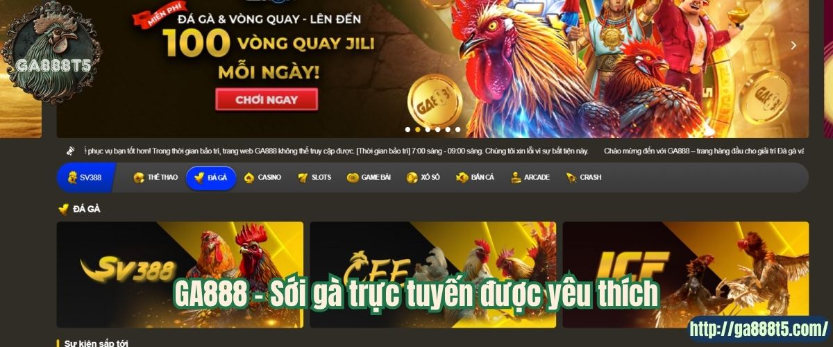 GA888 – Sới gà trực tuyến được yêu thích